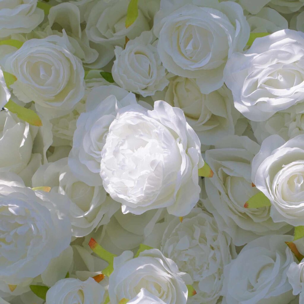 Angel Rose Flower Backdrop